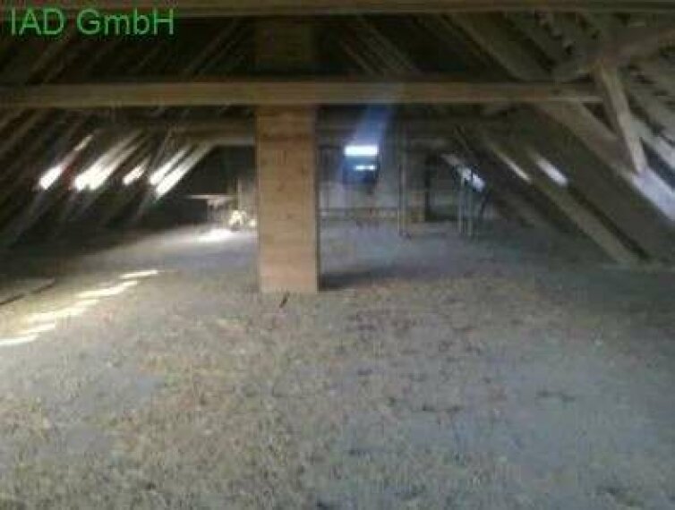 Kuhstall Dachgeschoss 3
