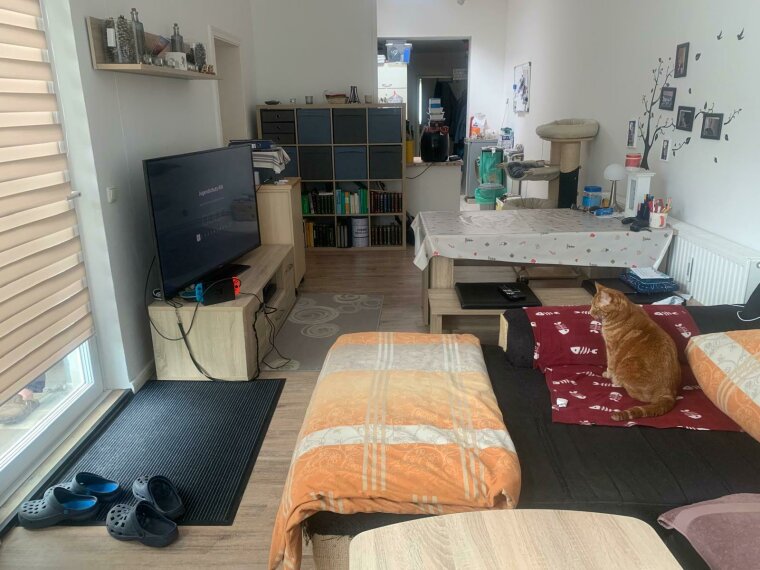 Wohnung 2