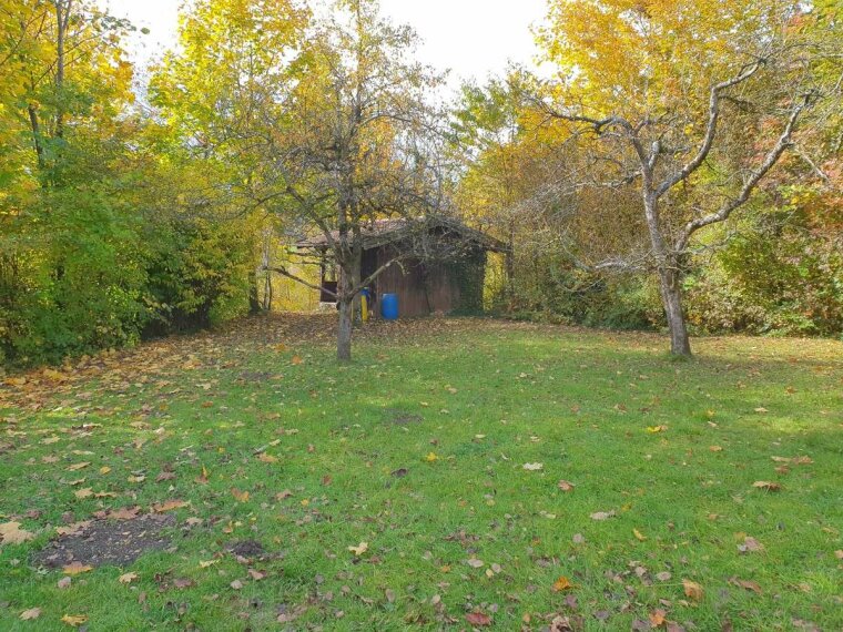 b1b09ef0-68ce-4a0c-b6ee-6015fa