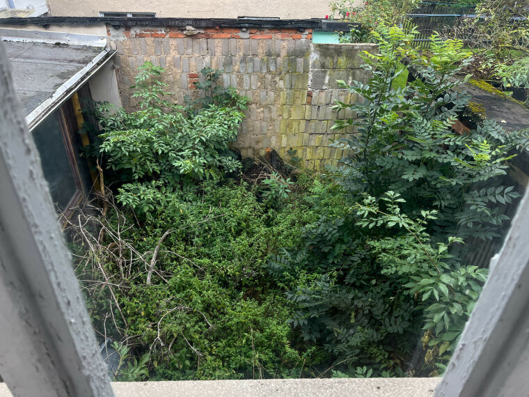 Fensterblick auf den Garten