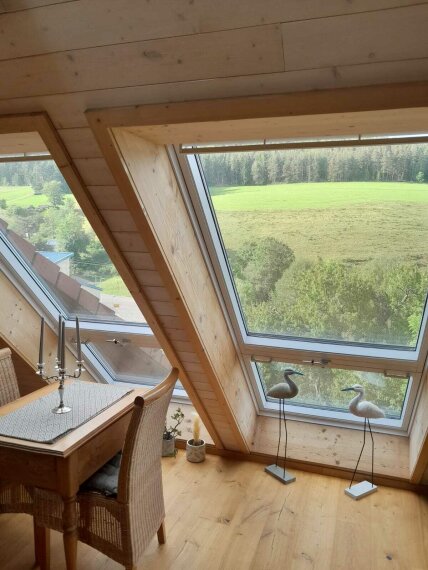 Wohnung DG Loggia-Fenster