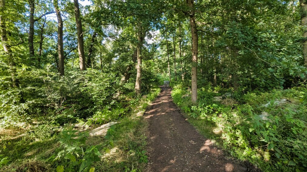 Hofeigener Wald