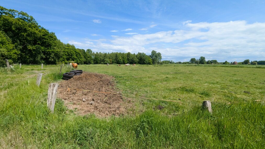 Pachtweide hinten links