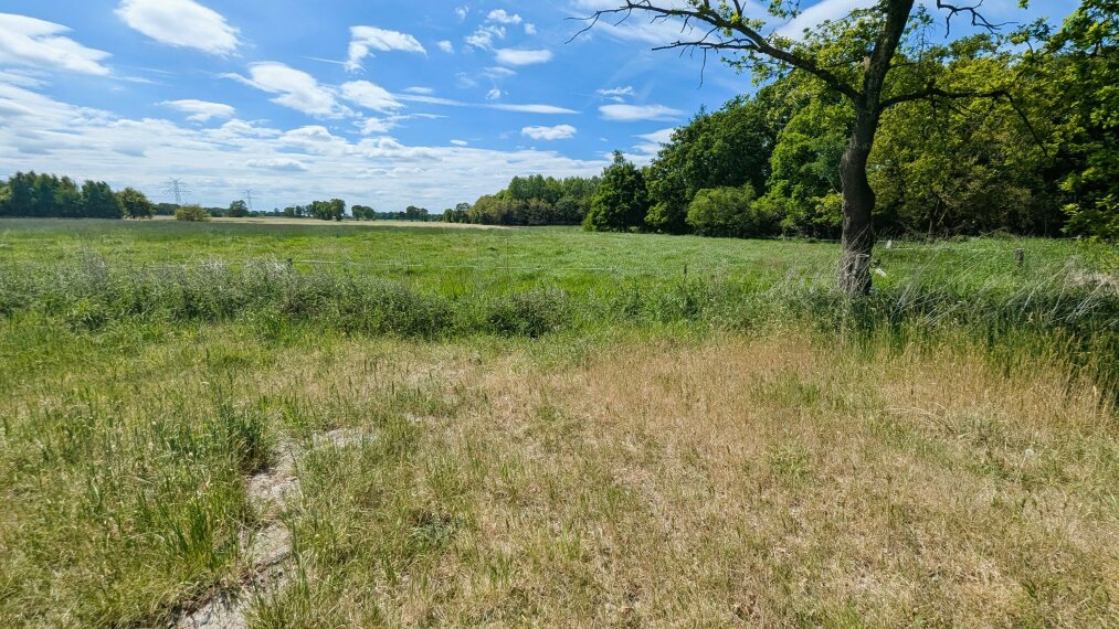 Pachtweide hinten rechts