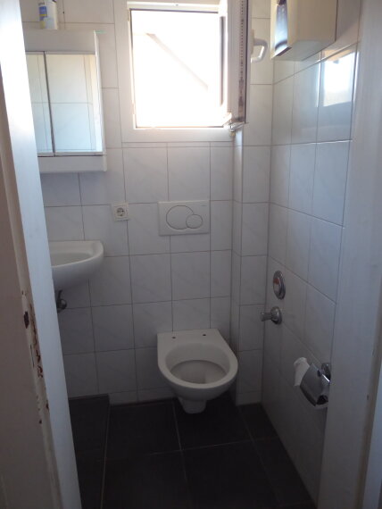 Tageslicht Duschbad DG