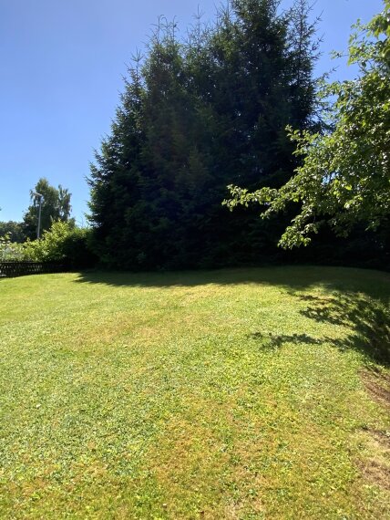 Grundstück - Zwiesel