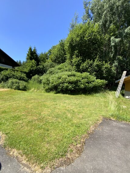 Grundstück - Zwiesel