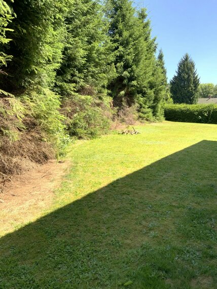 Grundstück - Zwiesel