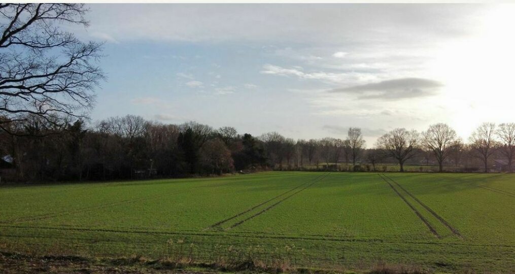 Blick von 2 Fam.haus