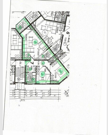 WhatsApp Image 2026-03-12 at 17.14.27