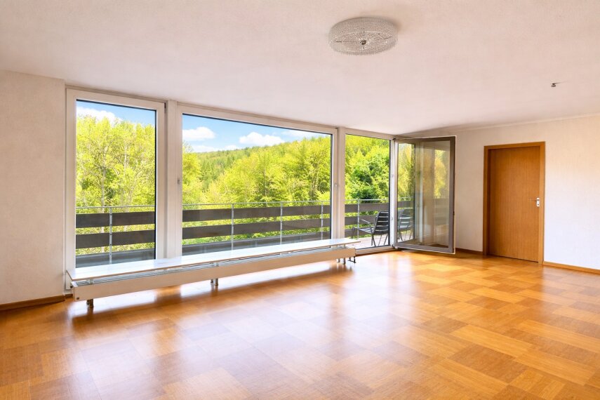 EG Wohnzimmer/ Zimmer Eingang