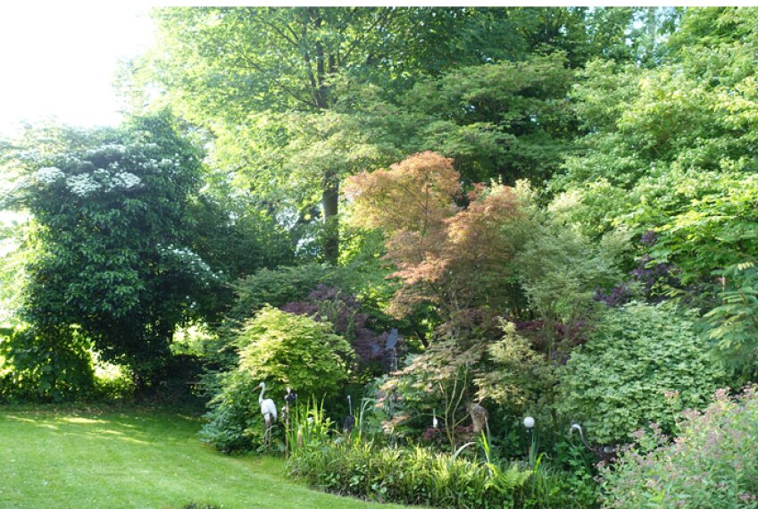 Garten Im Sommer2