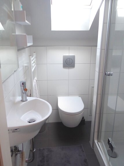 Tageslicht Duschbad im DG