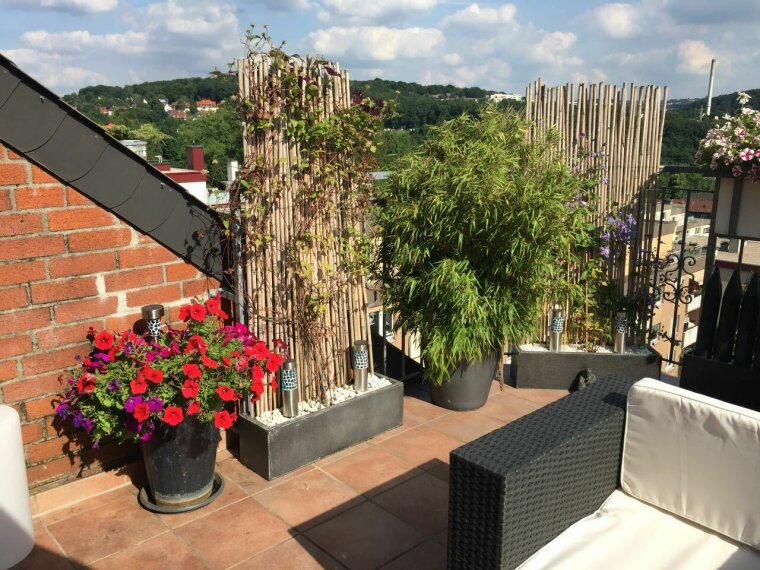Wng-Wtal-Terrasse-1