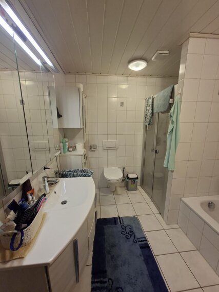 Badezimmer 1 Hauptwohnung