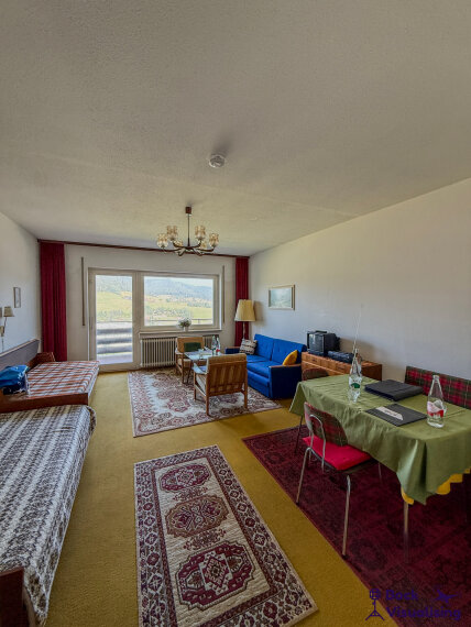 Wohn / Schlafzimmer